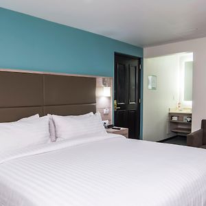 Suite con Cama Queen